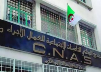 “كناس” تكثف برنامجها لفائدة ذوي الإحتياجات الخاصة ببسكرة