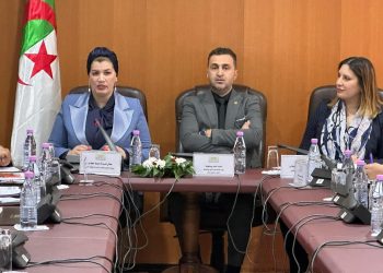 لجنة الصحة تستمع إلى عرض شامل لوزيرة التضامن حول حصيلة 2025 وآفاق 2026